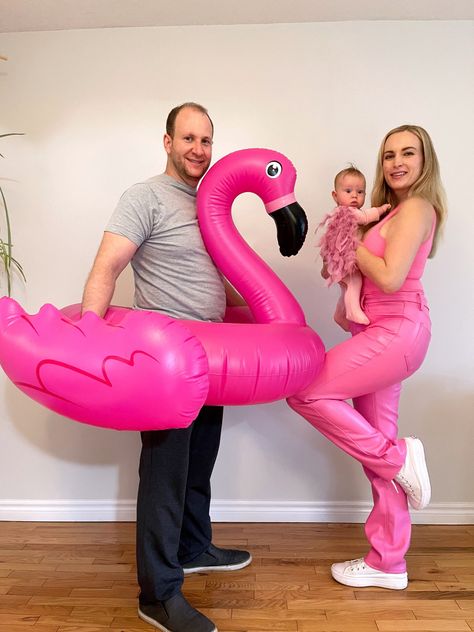 Family Flamingo Costume, Womens Flamingo Costume, Flamingo Family Costume, Flamingo Costume Diy, Baby Flamingo Costume, Flamingo Halloween Costume, Baby Flamingo, Flamingo Costume, Family Halloween Costume