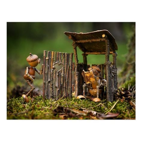 Acorn elf and the toilet postcard | Zazzle.com Acorn People, Acorn Gifts, Toilet Day, World Toilet Day, Acorn Crafts, Pine Cone Crafts, Fairy Garden Diy, Nature Crafts, Fairy Houses