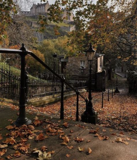 Dark Autumn, Season Of The Witch, Dark Academia Aesthetic, Edinburgh Scotland, Seasons Of The Year, Academia Aesthetic, Best Seasons, We Fall In Love, Autumn Cozy