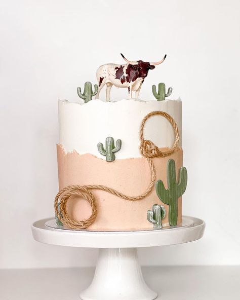 Western Theme Cake Ideas, Rodeo Cupcakes Western Theme, How The West Was One Birthday Cake, Cowboy Cake Ideas, Western Smash Cake, Rodeo Cake Ideas, 1st Rodeo Birthday Cake, Wild West Cake, Western Cake Ideas