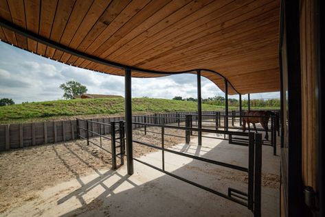 Stalls With Runs, Paddock Ideas, Horse Stables Design, Stable Yard, Stable Style, Horse Paddock, Stable Ideas, Barn Stalls, Curved Roof