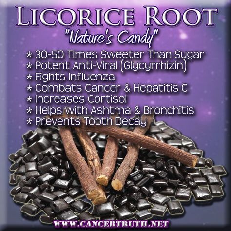 Licorice Root Benefits, Art Of Healing, Home Remedies For Acne, Herbs For Health, Licorice Root, Healing Herbs, Natural Health Remedies, Alternative Health, Health And Beauty Tips