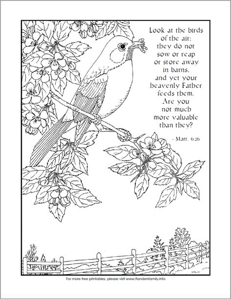 Look at the Birds (free printable coloring page from www.flandersfamily.info) Turtle Pictures, Bible Coloring Sheets, Paint Pictures, Bible Verse Coloring Page, Creative Notebooks, Scripture Coloring, Marvel Coloring, Bible Journaling Ideas Drawings, Bible Verse Coloring