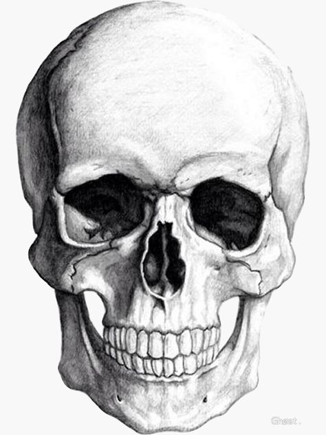 "Skull" Sticker by Kickz | Redbubble Tattoo Crane, Ako Kresliť, Skull Reference, Skull Sketch, Skull Pillow, Couple Drawing, Drawing Eyes, Skulls Drawing, Tapeta Galaxie