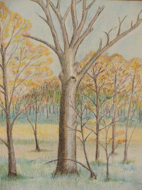 Color Pencil drawing of fall trees Colored Pencil Fall Drawing, Fall Trees Drawing, Autumn Drawing Pencil, Fall Tree Drawing, Autumn Tree Drawing, Tree Drawings Pencil, Drawing Arts, Fall Drawings, Fall Trees