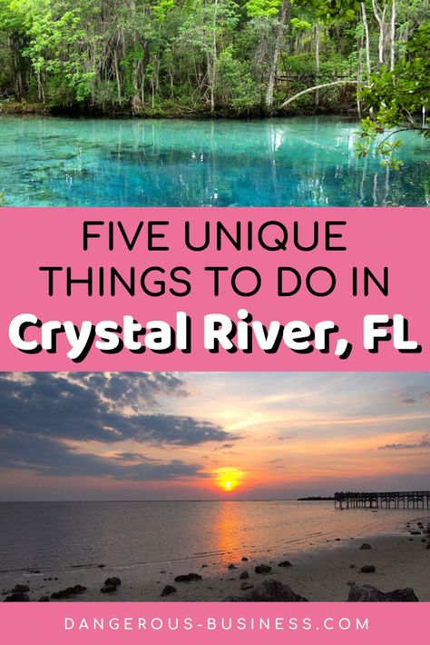 Learn about 5 of the best things to do in Crystal River, Florida, including seeing natural springs and swimming with manatees. #Florida #traveltips Swimming With Manatees, Crystal River Florida, Florida Travel Guide, Florida Adventures, Usa Roadtrip, Florida Springs, Places In Florida, All Pins, Crystal River