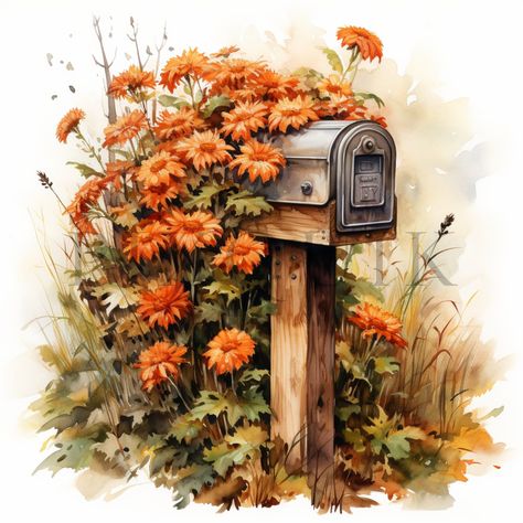 Mail box ideas