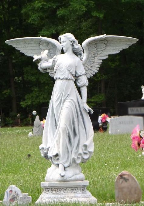 Angel Headstone, Cemetery Angels, Cemetery Statues, I Believe In Angels, Angel Statue, Angel Sculpture, Eternal Youth, Cemetery Art, Angel Statues