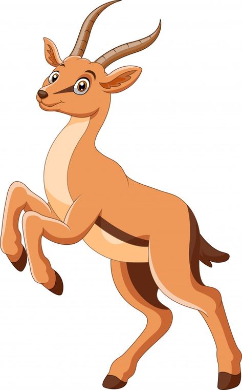 A cute cartoon gazelle stands | Premium Vector #Freepik #vector #character #cartoon #animals #cute Safari Birthday Party, Character Cartoon, Bolo Fake, Safari Birthday, Vector Character, Free Clip Art, Forest Animals, Cartoon Animals, Cartoon Drawings