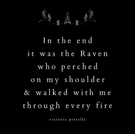 Messing With A Witch Quotes, Witchy Bio Quotes, Quotes About Ravens, Pagan Quotes Wise Words, Paganism Quotes, Witch Quotes Aesthetic, Shadow Magic Aesthetic, Raven Meaning, Raven Quotes