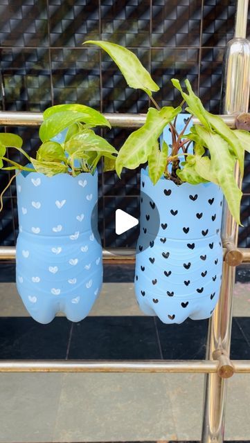 Sanobar Mulla on Instagram: "“Upcycled elegance: A beautiful hanging planter made from a plastic bottle, giving new life to both plants and plastic!”♻️
“Transform waste into wonder with this beautiful hanging planter made from a recycled plastic bottle. A perfect blend of creativity and sustainability, this DIY project not only adds a touch of green to your space but also helps reduce plastic waste. Ideal for small plants or herbs, it brings a natural, eco-friendly charm to any indoor or outdoor setting.”🌸✨♻️
#viralreels #instareels #plantsmakepeoplehappy #plantlover #plantsplantsplants #dıy #plantlife #plantslover #insta #diyplanter #bottlepainting #bottleplanter #plasticbottle #plasticbottlecrafts 
.
.
(Bottle planter,plastic bottle planter ideas,hanging planter from bottle,diy from bot Upcycle Plastic Bottles Creative Ideas, Diy From Bottle, Plastic Bottle Planters Diy Hanging, Hanging Plants Indoor Diy, Bottle Planter Ideas, Plastic Bottle Planter, Upcycle Plastic, Plants In Bottles, Bottle Diy