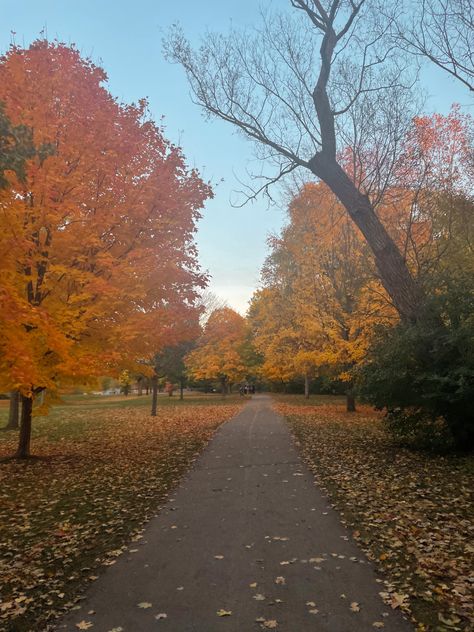 Autumn photo inspo london ontario gibbons park London Ontario, Autumn Vibes, Best Seasons, Fall Aesthetic, Autumn Aesthetic, Fall Photos, Fall 2024, Cozy Fall, Photo Inspo