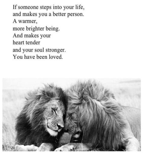 Kindred Spirits Quote, Friends Are Family Quotes, Love Sayings, Lion Quotes, Kindred Spirit, True Love Is, Love Matters, Love Is When, Spirit Quotes