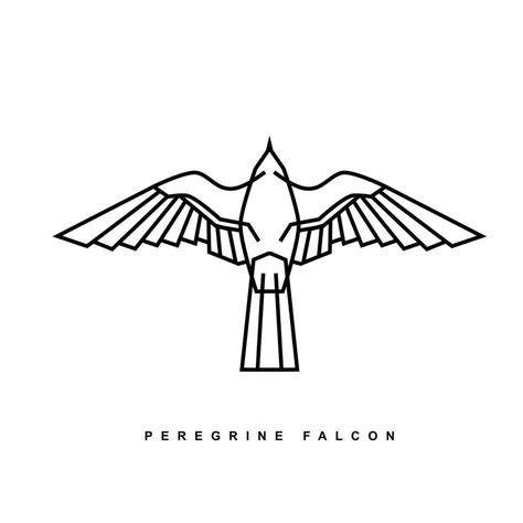 Ancient Egypt Illustration, Ancient Logo, Egypt Illustration, Falcon Drawing, Falcon Tattoo, Falcon Art, Hawk Logo, Falcon Logo, Hawk Tattoo