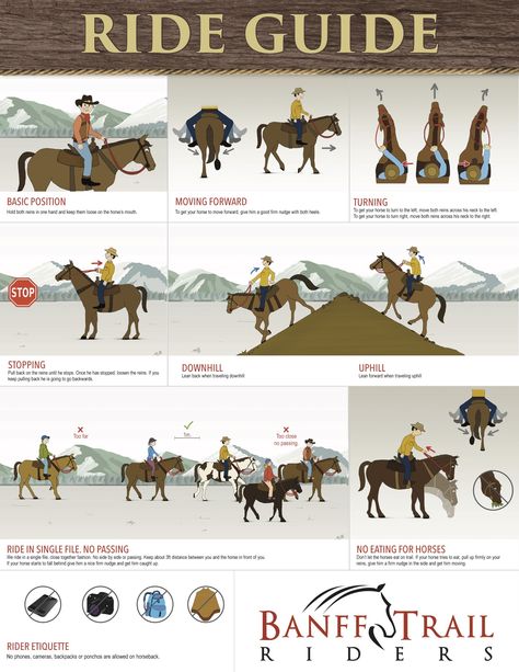 Horse Riding School Ideas, Learning To Ride A Horse, How To Ride A Horse Western, Western Trail Riding, Horseback Camping, How To Ride A Horse, Trail Riding Horses, Trail Horse, Ride A Horse