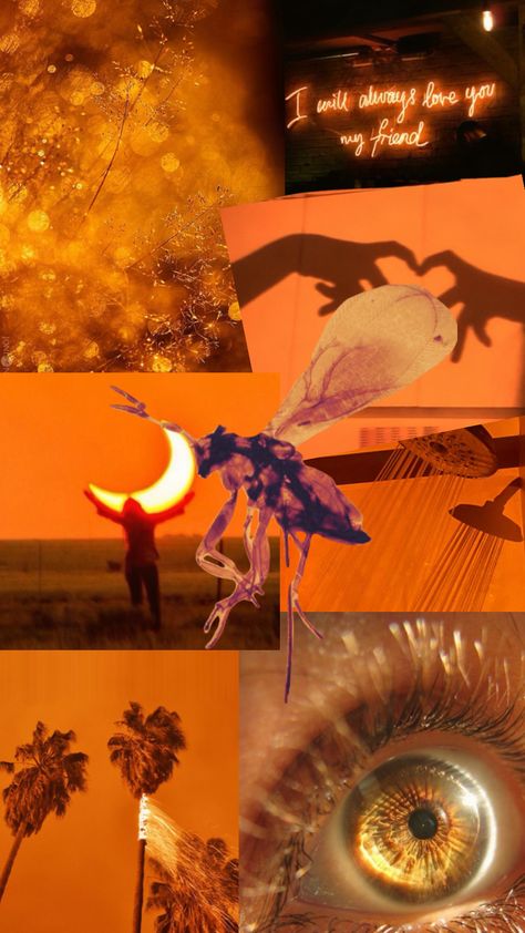 amber is the color of your energy <3 #amber #orange #aesthetic #wallpaper Amber Aesthetic Wallpaper, Amber Aesthetic, Orange Aesthetic Wallpaper, Orange Aesthetic, Aesthetic Colors, Color Therapy, Aesthetic Wallpaper, Aesthetic Wallpapers, Aura