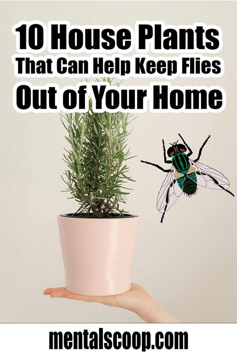 10 House Plants That Can Help Keep Flies Out of Your Home - Mental Scoop House Fly Traps, Fly Repellant Diy, Fly Deterrent, Homemade Fly Traps, Natural Fly Repellant, Plants That Repel Flies, Insect Repellent Plants, Diy Fly Trap, Fly Infestation