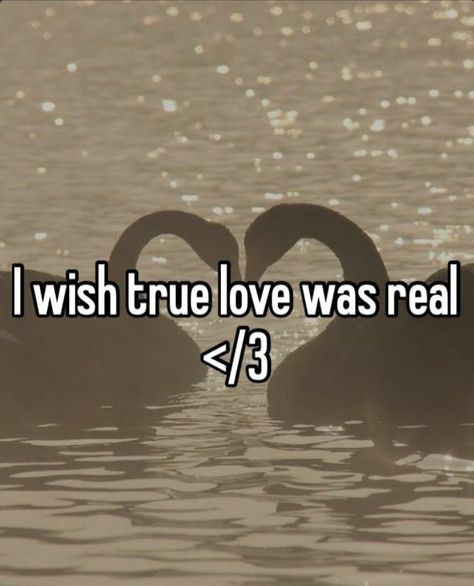 I want a boyfriend so bad 😫😭 I Have 50 Billion Boyfriends, If I Had A Boyfriend, My Boyfriend Hates Me, I Want A Bf So Bad, I Just Want A Boyfriend, Relatable Post Funny So True, Wanting A Boyfriend, Whisper Confessions Relationships, I Want Him So Bad