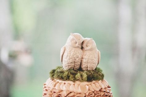 Cuddling Owl Cake Topper Picture Wedding Centerpieces, Owl Wedding Cake Topper, Owl Wedding Cake, Ladybug Cakes, Owl Wedding, Book Centerpieces, Cinderella Cake, Owl Cake, Edible Arrangements