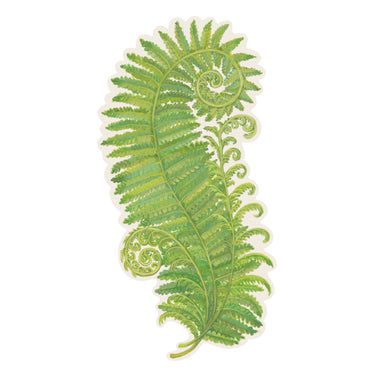 Search: 91 results found for "table accent" – Page 2 – Hester & Cook Fiddle Fern, Fiddlehead Ferns, Ferns Garden, Camping Theme Party, Fern Frond, Fern Leaf, Animal Silhouette, Handmade Wire Jewelry, Garland Decor