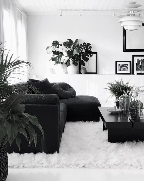 Black Couch White Living Room, Decorate Black Couch, Black Velvet Living Room Ideas, Black And White Aesthetic Furniture, Apartment Decorating Black Couch, Monochromatic Living Room Black, Black And White Living Room Small, Black Minimalist Apartment, Black Furniture Apartment