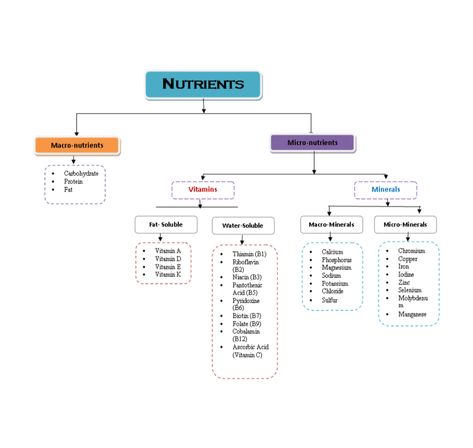 Here is a simple layout of nutrients and how to distinguish them appropriately. Micro Nutrients Chart, Macro Nutrients Chart, Macro And Micro Nutrients, Nutrients Chart, Nutrition Notes, Types Of Bellies, Macro Nutrients, Nature Benefits, Science Diagrams