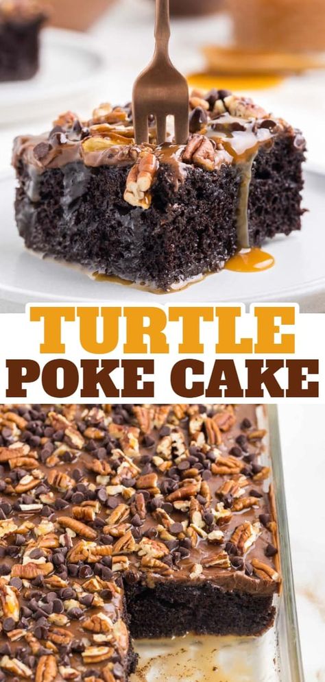 Turtle Poke Cake is a decadent chocolate cake filled with a caramel and condensed milk mixture and topped with chocolate frosting, chopped pecans and mini chocolate chips. Turtle Poke Cake Caramel Pecan, Turtle Chocolate Layer Cake, Carmel Chocolate Turtle Cake, Turtle Caramel Cake Recipes, Pock Cake Recipes, Turtle Chocolate Cake, Carmel Turtle Poke Cake, Caramel Turtle Poke Cake, Poke Hole Cake Recipes