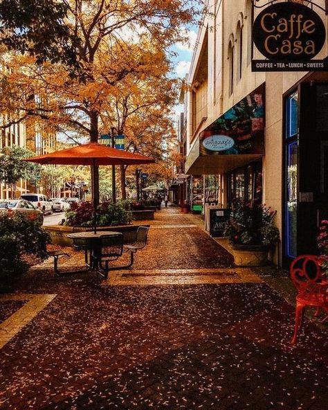 UNEXPECTED WAYS TO EXPERIENCE FALL IN THE CITY OF KALAMAZOO, MICHIGAN Fall In The City, Michigan Fall, Kalamazoo Michigan, Just A Small Town Girl, Cozy Season, Small Town Girl, Fall Photos, Autumn Photography, Fall Foliage