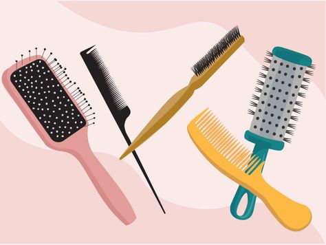 Hairbrush Types and How to Use Them Based on Hair Type Hairbrush Types, Best Braiding Hair, Brushes And Their Uses, Hair For Box Braids, Types Of Hair Brushes, Types Of Brushes, Teasing Brush, Medium Box Braids, Dry Curly Hair