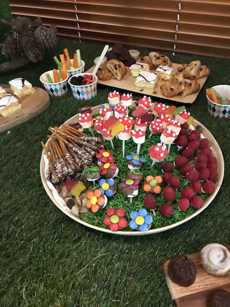 Made for my granddaughters 1st birthday nature themed party, all edible apart from sticks. Nature Themed Birthday Party, Nature Themed Party, Nature Birthday Party, Themed Party Outfits, Natural Birthday Party, Birthday Nature, Baking Competition, Fairytale Food, Picnic Inspo