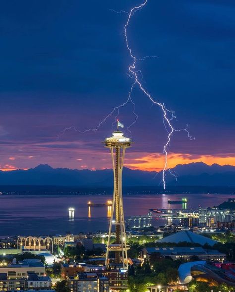 Curiocity Seattle on Instagram: “Happy snoozing, Seattle 😴 Photo by @catfish.hly #curiocityseattle #seattle” Seattle Washington Space Needle, Seattle Space Needle, Seattle Photos, Washington State Travel, Seattle Center, Seattle Seahawks Football, Space Needle Seattle, Seattle City, Evergreen State