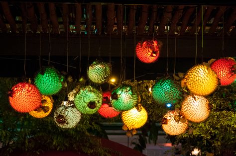 Puffer Fish Lamp, Fish Lights, Fish Lamps, Tiki Lights, Snapper Fish, Lilly Pad, Fish Lamp, Hawaii Homes, Puffer Fish