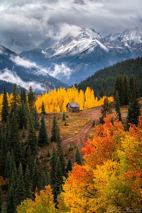 Abandoned Cabin, Aspen Forest, Colorado Wall Art, Colorado Fall, Colorado Photography, Colorado Landscape, Scenic Pictures, San Juan Mountains, Autumn Scenes