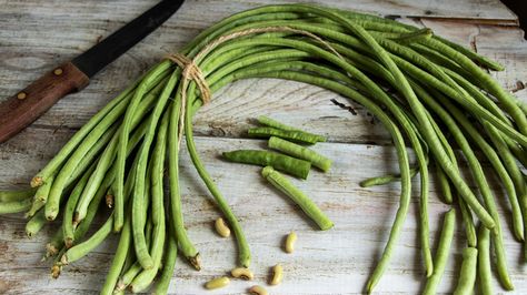 What Are Yardlong Beans And How Do You Eat Them? Yardlong Beans, Did You Eat, Asian Flavors, Tasting Table, Green Bean, Asian Dishes, Tasty Dishes, Green Beans, Nutrition