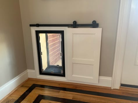 Back Door With Doggie Door, Doggy Door Barn Door, Dog Door House, Dogie Door Ideas, Secret Dog Door, Indoor Outdoor Dog Area, Exterior Door With Doggie Door, Doggy Door In Wall Ideas, Diy Pet Door Flap