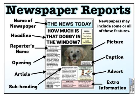 Enhance your children's newspaper report writing skills with this fantastic collection of teaching, activity and display resources! Includes a comprehensive guide, planning templates, writing checklists, examples of newspaper reports and more! News Report Example, Newspaper Report Writing Examples, Newspaper Article Examples, Newspaper School Project, Newspaper Activities For Kids, English Newspaper Articles, News Report Template, Class Newspaper, News Articles For Kids