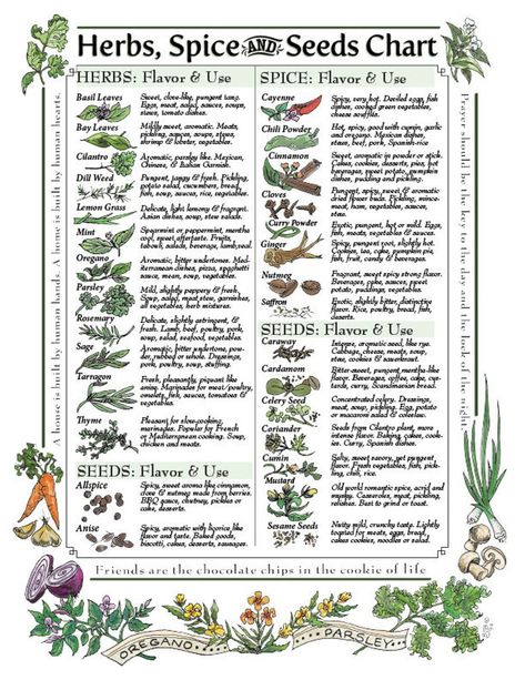 Downloadable: Herbs Spice & Seeds Chart for Kitchen | Etsy Spice Chart, Magickal Herbs, Witch Herbs, Magic Herbs, Kitchen Herbs, Magical Herbs, Spice Racks, Spice Cabinet, Reference Chart