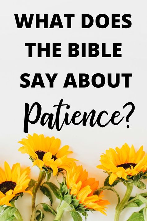 Fruit Of The Spirit Patience Lesson, Patience Bible Verse, Fruit Of The Spirit Patience, Devotion Ideas, Bible Verses About Prayer, Youth Bible Study, Character Lessons, Prayer For Forgiveness, Marriage Bible Verses