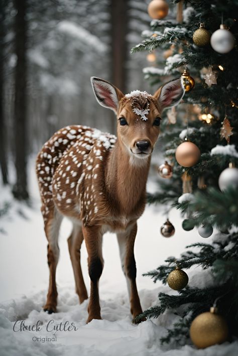 Chuck’s Images of Christmas Classic Christmas Images, Public Domain Christmas Images, Winter Images Wallpaper, Christmas Aesthetic Photography, Pretty Christmas Wallpaper, Reindeer Aesthetic, Country Christmas Wallpaper, Winter Scenery Christmas, Images Of Christmas