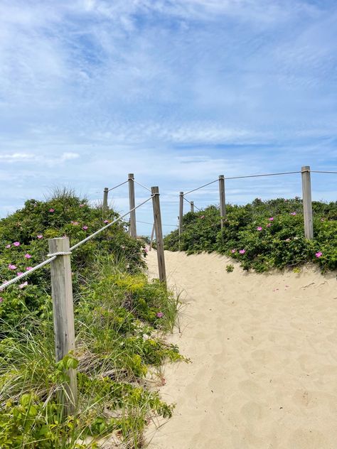 Aesthetic Beach Friends, Preppy Summer Beach, Nantucket Preppy, Nantucket Aesthetic, Hydrangeas Flowers, Nantucket Beach, Beach Preppy, England Summer, Travel 2024