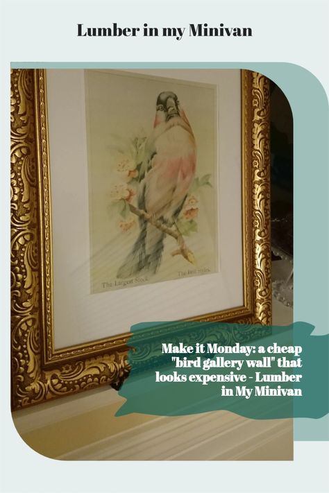 Audobon Birds, Audubon Prints, Make It Monday, Thrifty Decor Chick, Frame Ideas, Diy Birds, Picture Collage Wall, Colorful Bird, Bird Wall Art