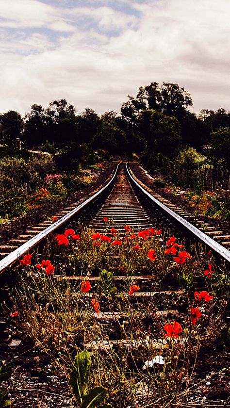 Railroad Tracks Tattoo, Abandoned Railroad Tracks, Railroad Tracks Drawing, Railroad Tracks Aesthetic, Holocost Art, Old Train Aesthetic, Train Track Tattoo, Railroad Aesthetic, Railroad Tattoo