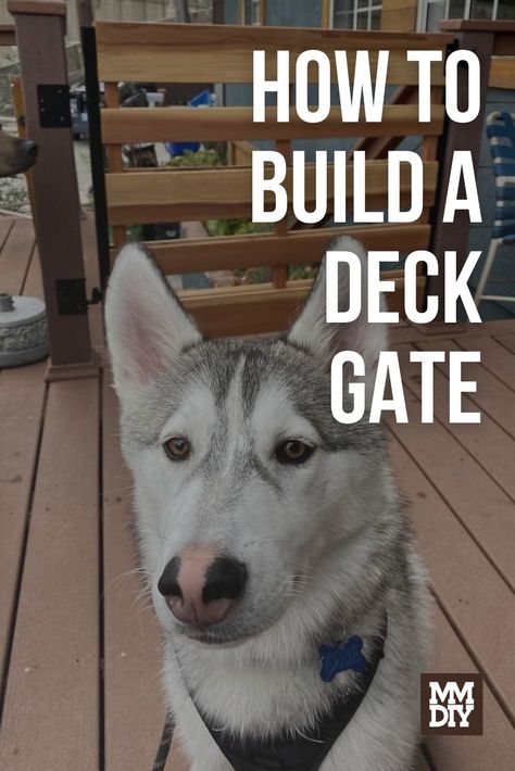 A deck gate built by with our DIY deck gate guide Deck Gate Diy, Deck Gates, Deck Gate, Easy Deck, Build A Deck, Deck Decor, Weekend Projects, Building A Deck, Deck Decorating