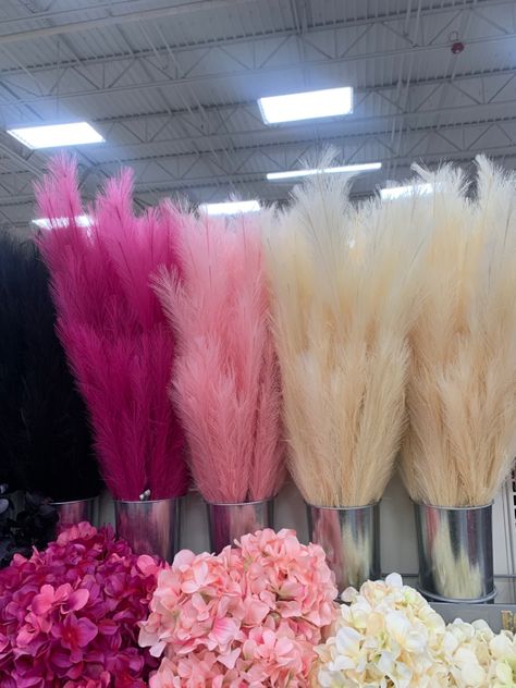 #bohohome#pampasgrass#michaelsstores Pampas Grass Decor Pink, Hot Pink Pampas, Pink Esthetician Room, Pink Pampas Grass Decor, Pink Lash Room, Pampas Grass Wall Decor, Pampas Wall Decor, Pampas Wall, Grass Centerpiece