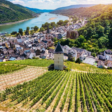 Spending a day here wouldn't be the wurst thing ever 😉 📍 Rhine Valley, Germany #WanderlustWednesday #TheWineCellarGroup Rhine Valley, Glass Of Wine, All Eyes, All About Eyes, Austria, Germany, Wine, Glass