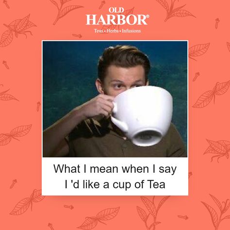 Uhh yes! We’d like ONE cup of tea too 🥰 Tag a friend who feels the same in the comments down below ⬇️ . . . . #teapro #ilovetea #instatea #tealover #teaoftheday #tealeaves #teagram #tealove #oldharbortea #cupoftea #teapositive #tealovers #tea #chaitime #tealover #teadrinker #organictea #lovetea #looseleaftea #teaculture #ilovetea #teaislife #teastagram #teaoftheday#teatime #infusedtea #cupoftea #hottea #teaholic #teameme #meme Bob Aesthetic, Tea Meme, Tea Quotes, Cuppa Tea, Tea Culture, Herb Tea, Food Graphic Design, Tea Brands, Tea Drinkers