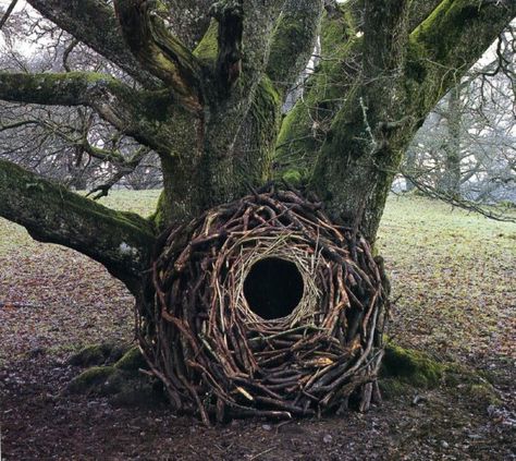 Goldsworthy: Bird's Nest Andy Goldworthy, Ephemeral Art, Andy Goldsworthy, Natural Inspiration, Earth Art, The Trunk, Outdoor Sculpture, Stonehenge, Sculpture Installation