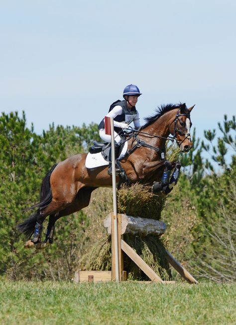 Get to know Jimmie Schramm and Bellamy. They will be competing for the first time at Rolex 3- day Event! Photo by Jenni Autry. - EventingNation Eventing Aesthetic, Eventing Cross Country, Cross Country Jumps, Eventing Horses, Equestrian Helmet, Funny Horses, Dream Horse, Horse Aesthetic, English Riding