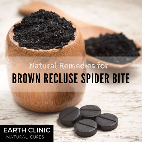 Recluse Spider Bite, Brown Recluse Spider Bite, Spider Bite, Recluse Spider, Brown Recluse Spider, Brown Recluse, Spider Bites, Epsom Salt, Emergency Kit