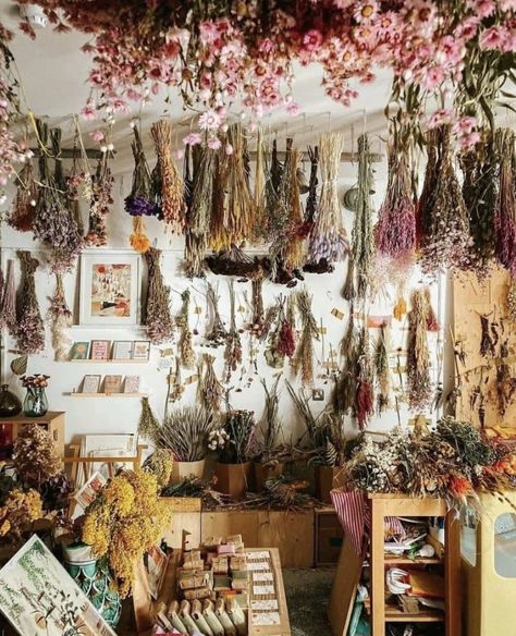 Herbal Academy, Herbal Shop, Apothecary Decor, Herb Shop, Magia Das Ervas, Reduce Your Carbon Footprint, Herbal Apothecary, Witch Aesthetic, Practical Magic